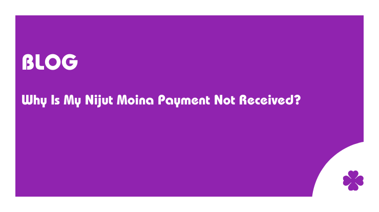 Why Is My Nijut Moina Payment Not Received?